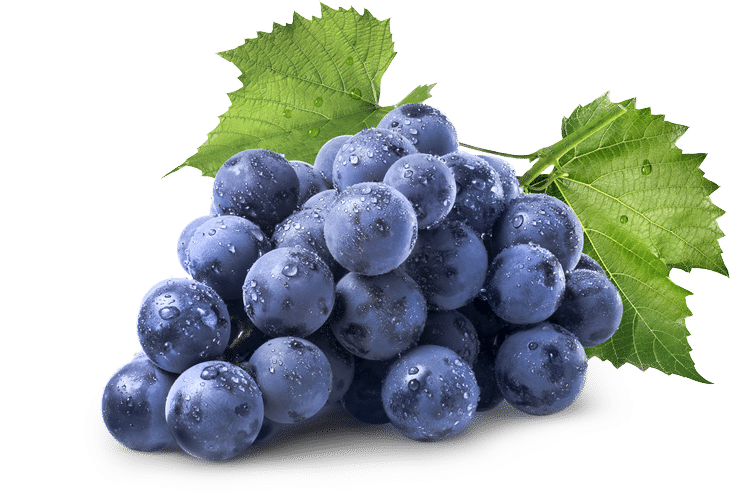 435da4d215d835656e70c5b9bab3f5e7