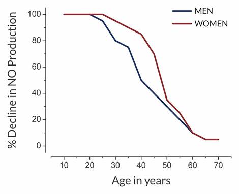 The-Decline-of-Nitric-Oxide-With-Age