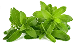 stevia-150px